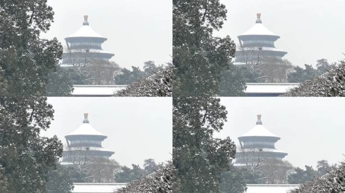 北京天坛公园雪景高清视频