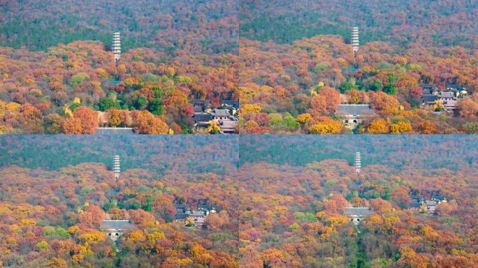 航拍南京钟山灵谷寺秋色