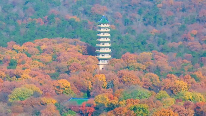 航拍南京钟山灵谷寺秋色