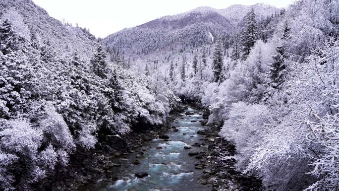 西藏林芝市巴松措森林河流雾凇的雪景风光