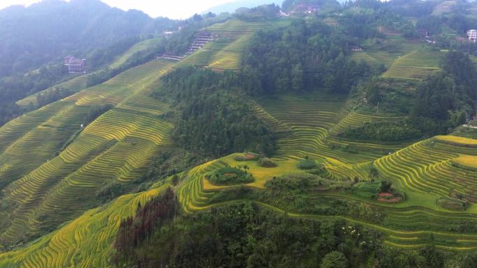 桂林龙脊梯田