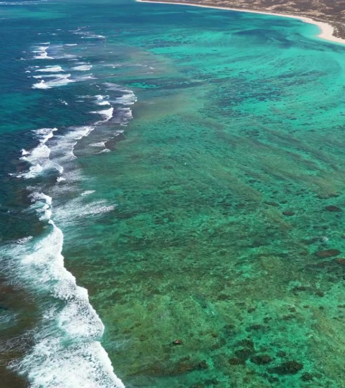 西澳大利亚的宁格鲁礁(联合国教科文组织世界遗产)