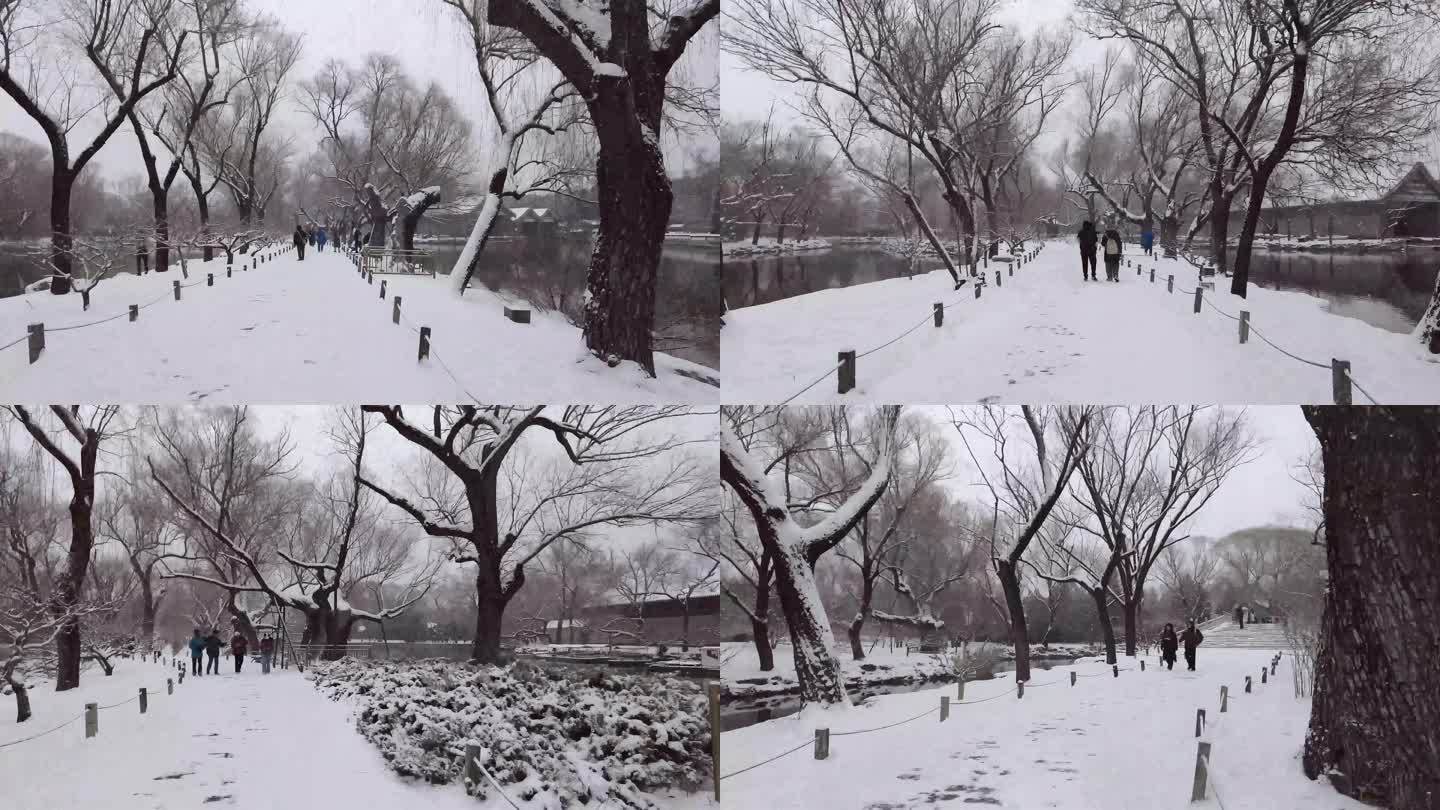 北京颐和园公园下雪美景水墨画景色43