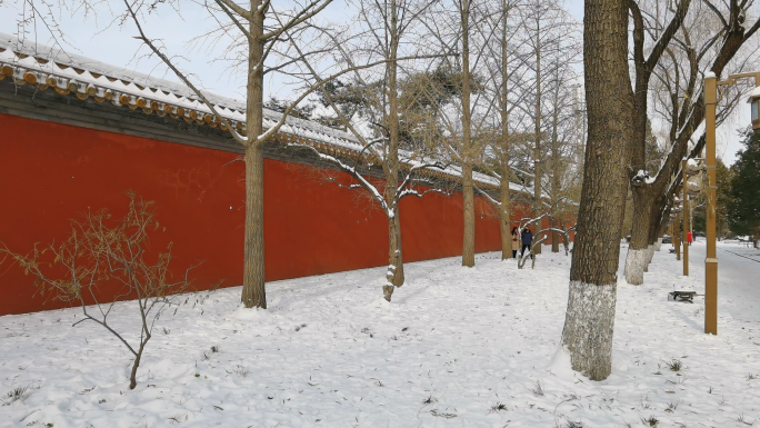 红墙雪景 古建雪景