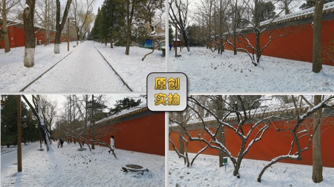 红墙雪景 古建雪景