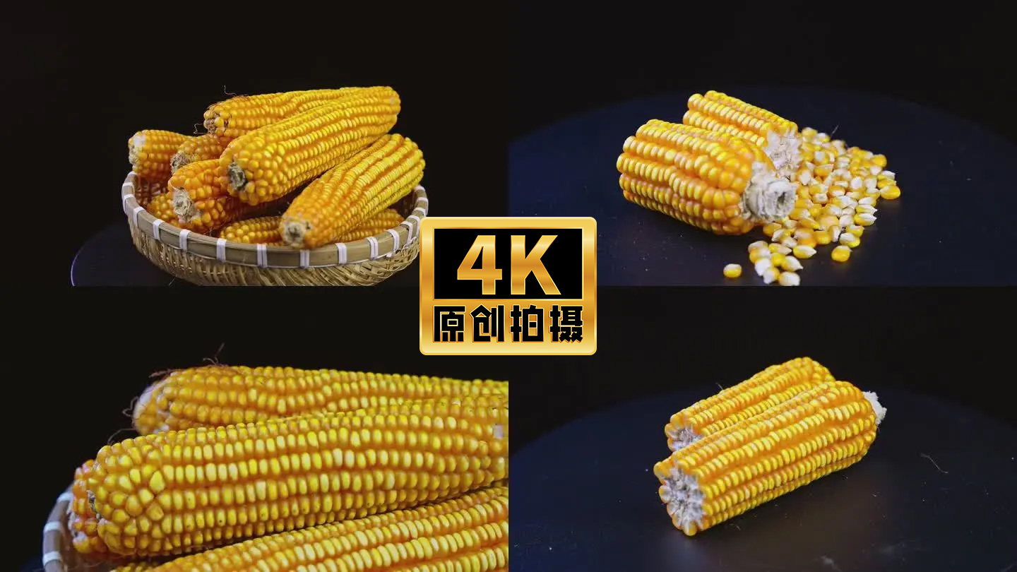 4K高清实拍玉米粮食包谷