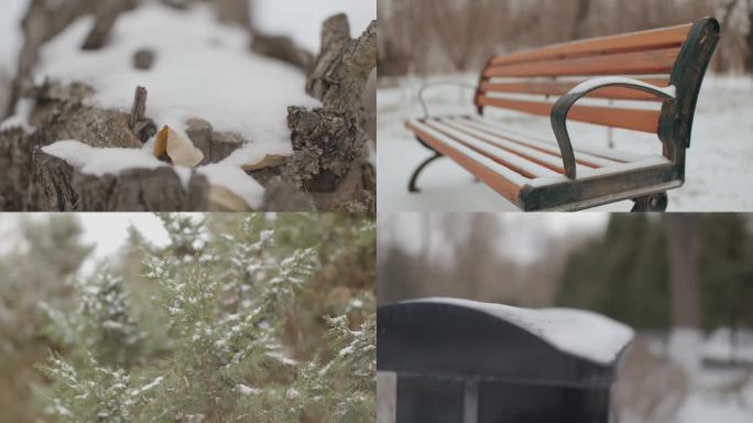 初冬降雪小雪-积雪雪景意境雪花