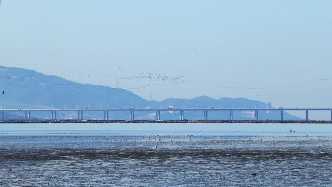 深圳前海跨海大桥风景