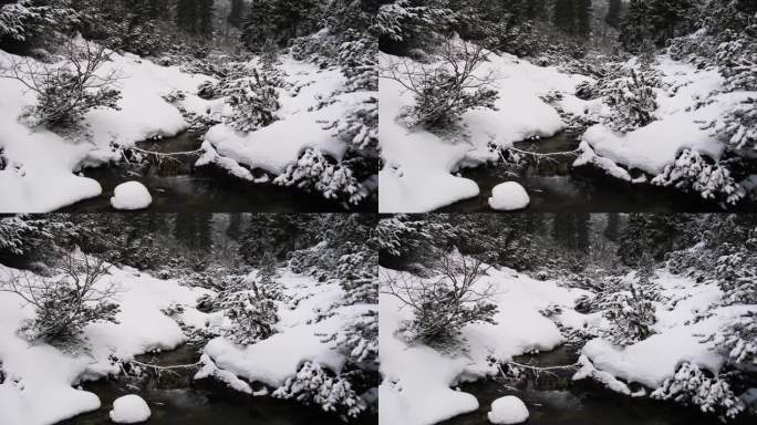 高山雪山中的松林和溪流。多风多云天气