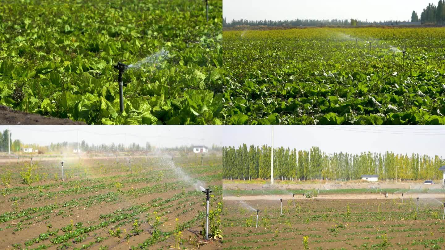 智慧农业喷淋灌溉