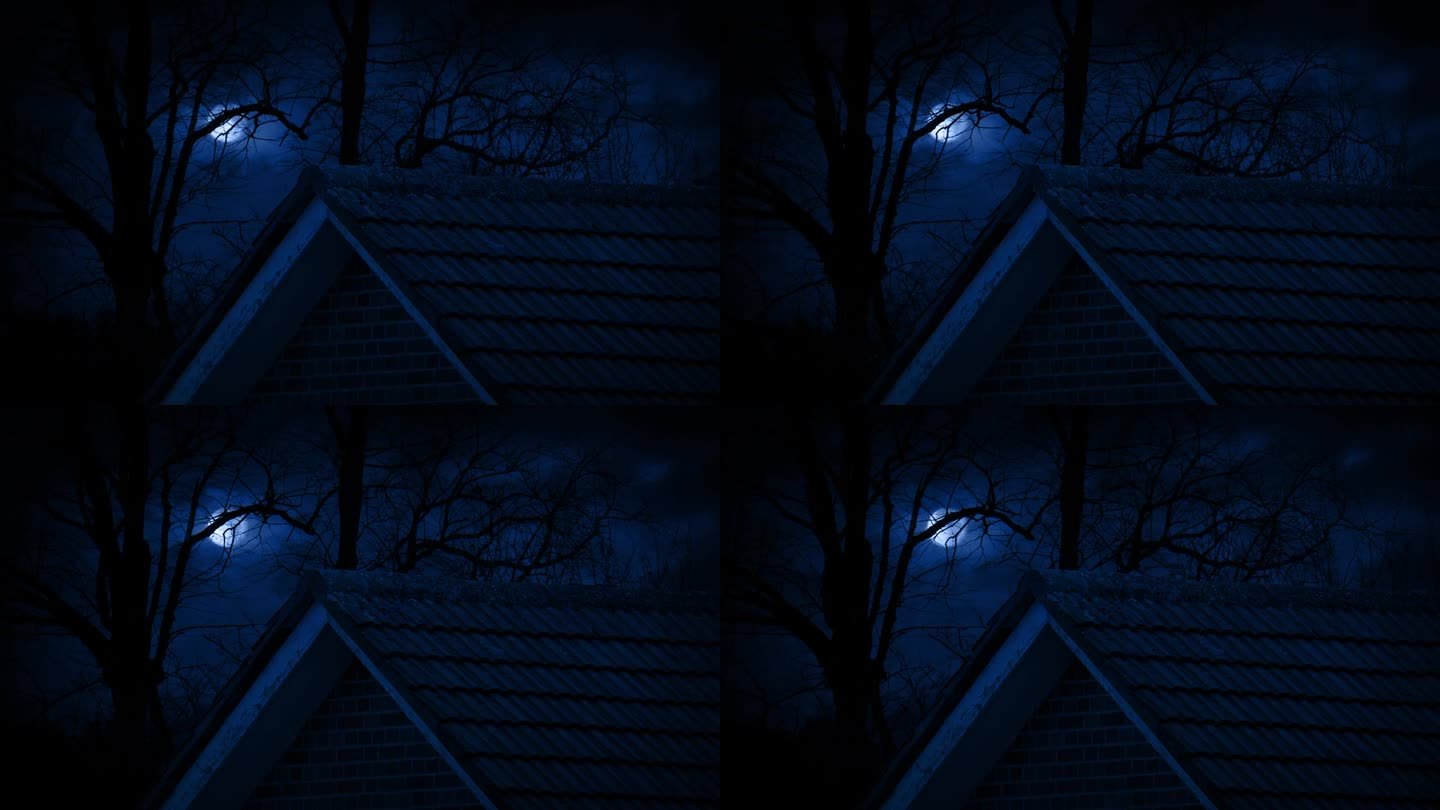 可怕的夜景，屋顶和树木与月亮
