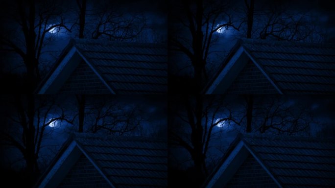 可怕的夜景，屋顶和树木与月亮