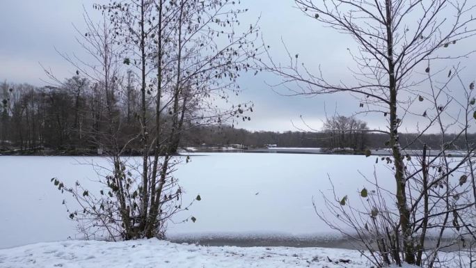 冬雪冰湖木林多云天德国。壮观的空中俯视图飞行吊杆滑向右侧无人机

4 k的片段