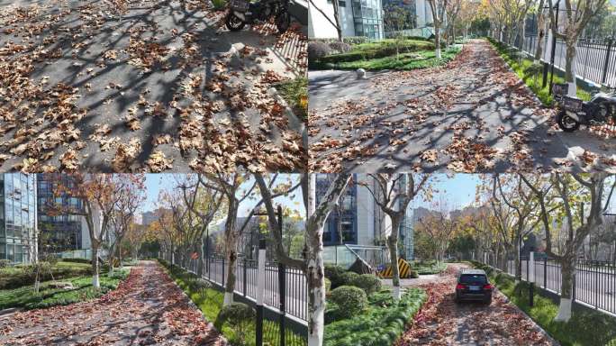 西湖区 楼宇经济 浙大网新 浙大系 杭州