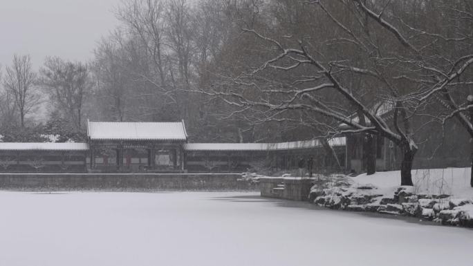 北京颐和园公园下雪美景水墨画景色3