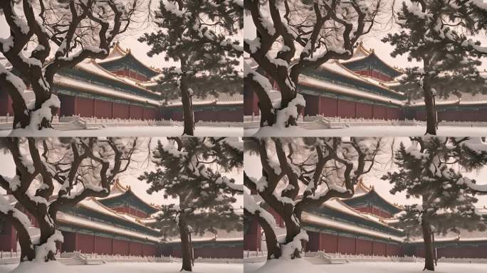 雪景故宫古代建筑 故宫雪