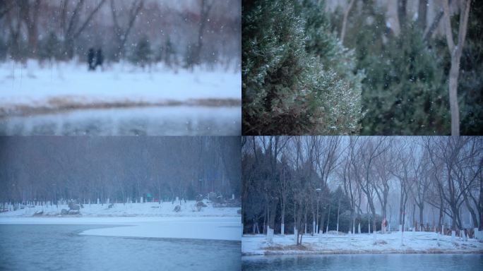 降温积雪意境雪花飘落-冬季降雪小雪雪景