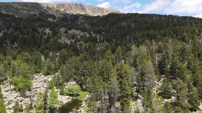 用无人机拍摄的春季景观和湖泊的航拍场景，比利牛斯山脉，赫罗纳，西班牙。4K超高清