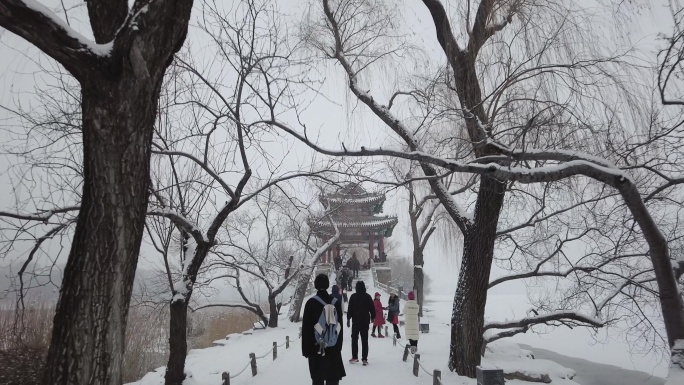 北京颐和园公园下雪美景水墨画景色38