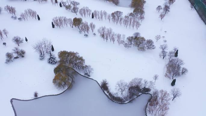 2023年石家庄雪景航拍