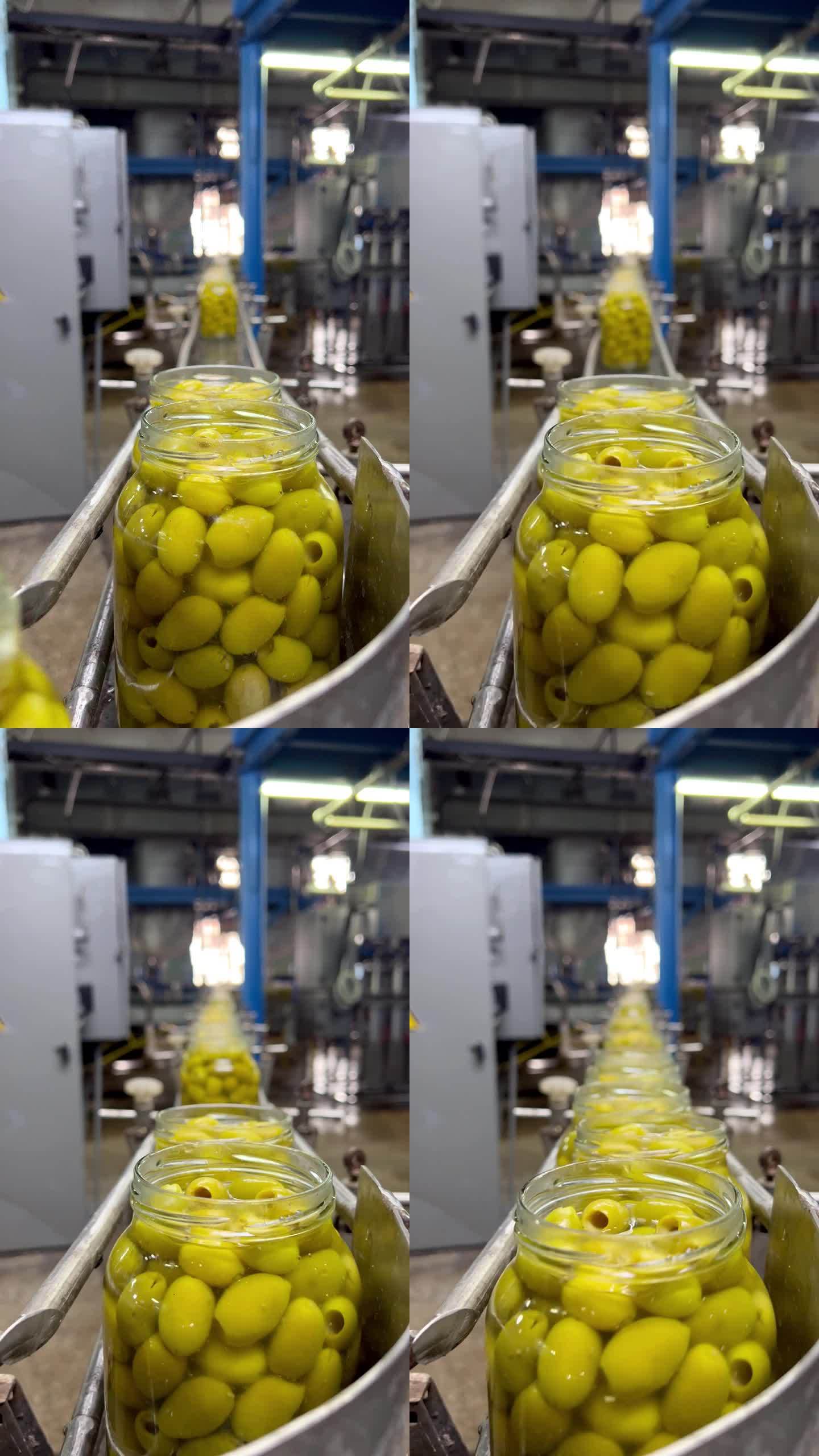 传送带上的罐子里装着橄榄。