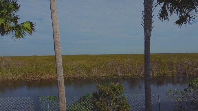 佛罗里达南部大沼泽地的航拍画面