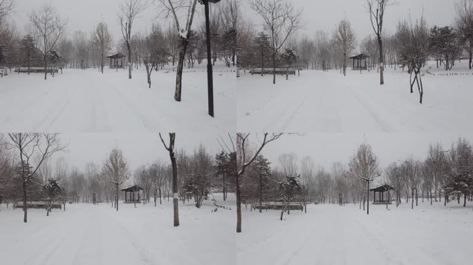 北京颐和园公园下雪美景水墨画景色37