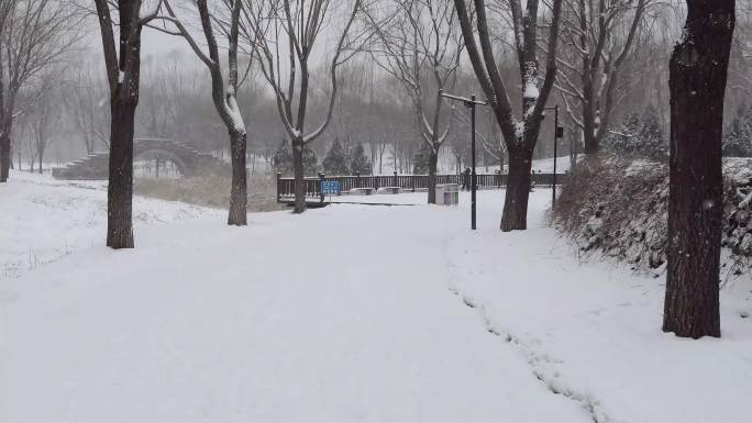 北京颐和园公园下雪美景水墨画景色54