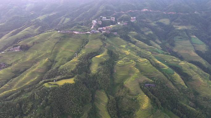 桂林龙脊梯田