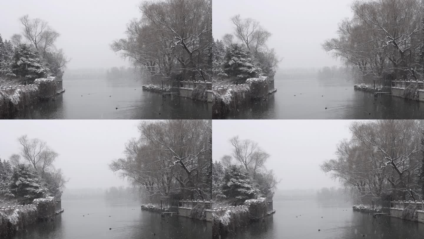 北京颐和园公园下雪美景水墨画景色