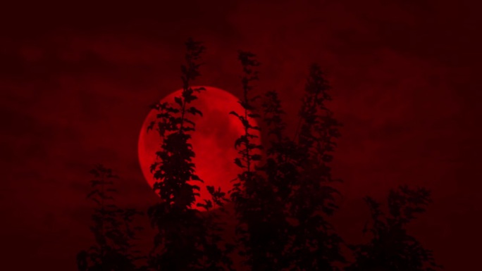 可怕的红月亮在树顶后面移动