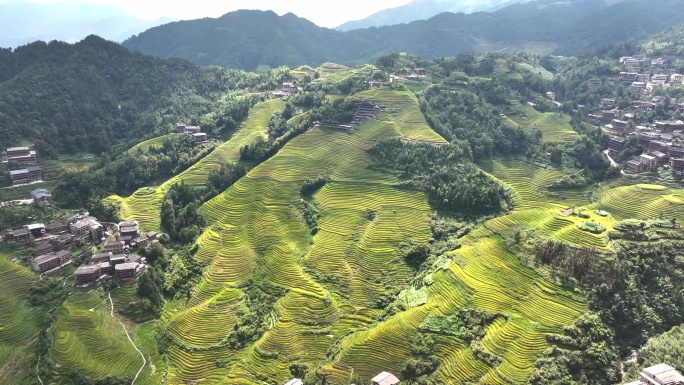 桂林龙脊梯田