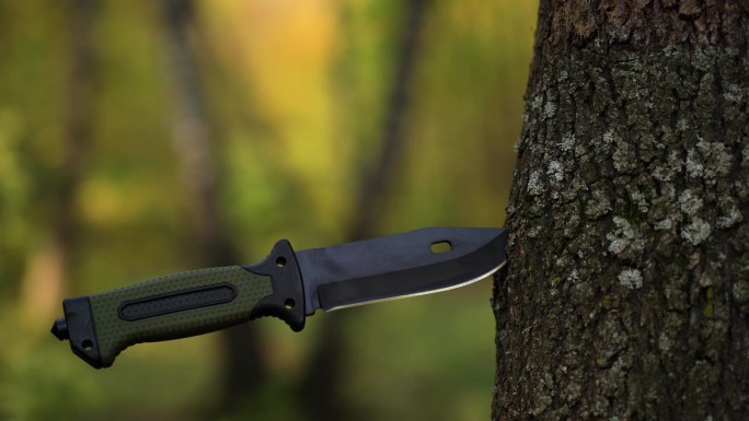 一把旅游刀插在树皮上。向森林里扔刀子。