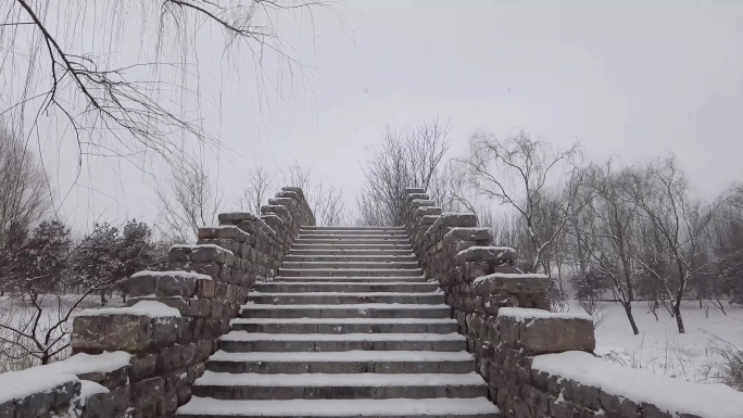 北京颐和园公园下雪美景水墨画景色51