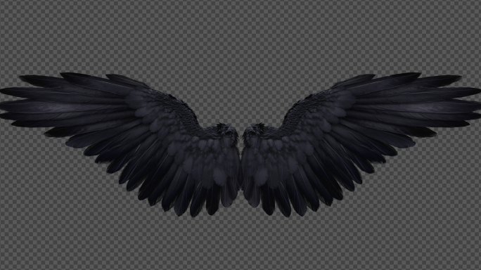 4K黑色翅膀带透明通道