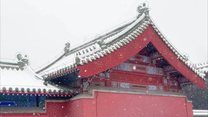 北京天坛雪景高清视频