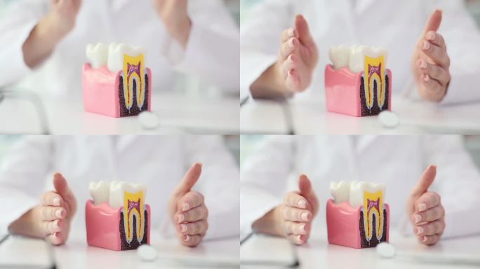 牙医之手保护健康卫生的白牙
