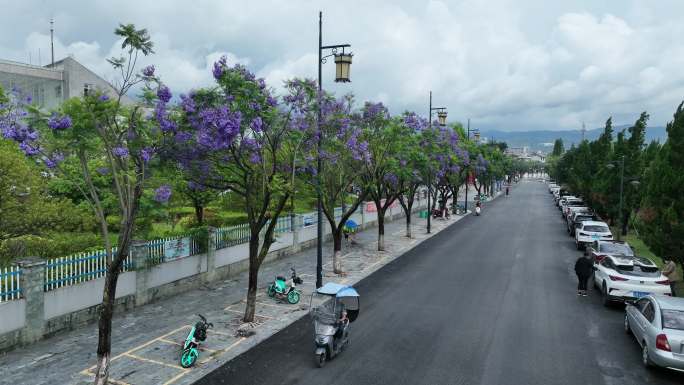 航拍云南保山昌宁县滨河西路夏天绿色