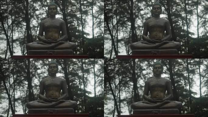 耆那教的马哈维亚精神冥想雕像