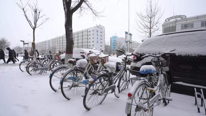 下雪冬天自行车有序摆放