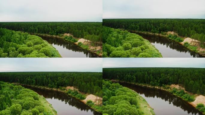 水被树林包围。宁静的破坏，倒下的松树，河风。无人机拍摄。
