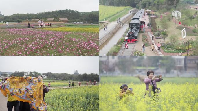 花开时节乡村游