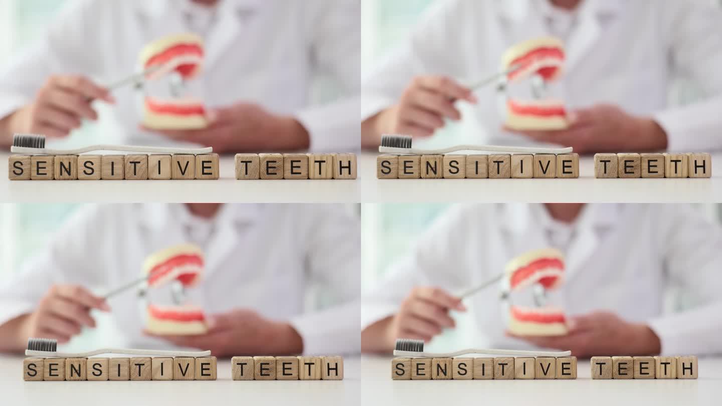 牙医刷人工颌模型牙和字敏牙