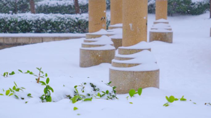 4K冬天雪景下雪空镜合集