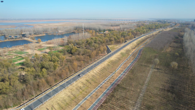 冬天的黄河生态廊道 黄河大堤路 黄河安澜