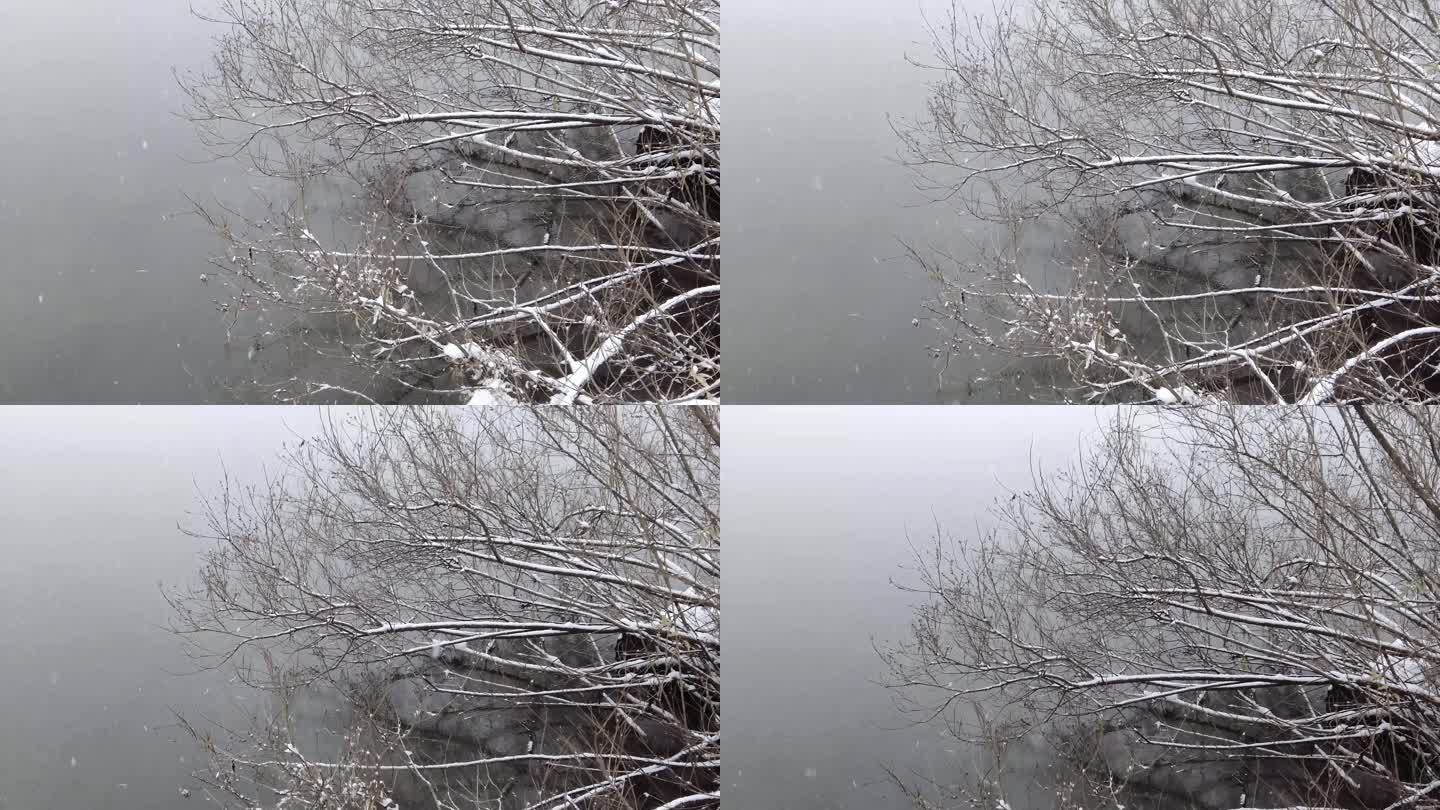 北京颐和园公园下雪美景水墨画景色44