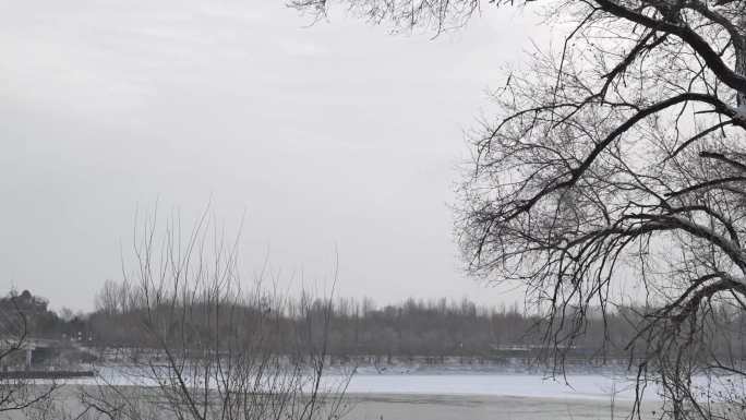 雪后浑河