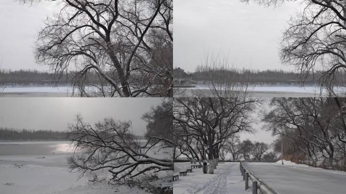 雪后浑河