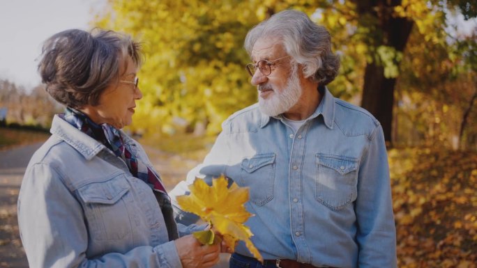 在秋天的公园里，领养老金的人互相拥抱聊天