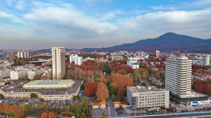 【6分钟】南京林业大学秋景